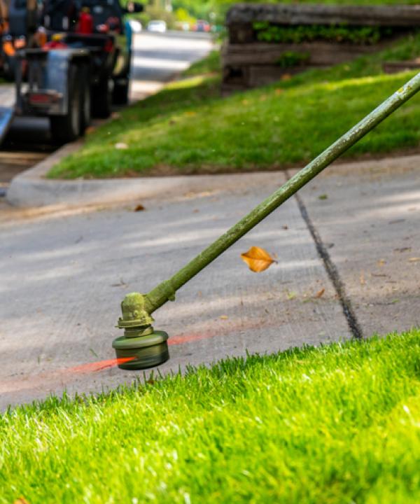 Palmer Lawn Care East Valley Phx Mowing Edging