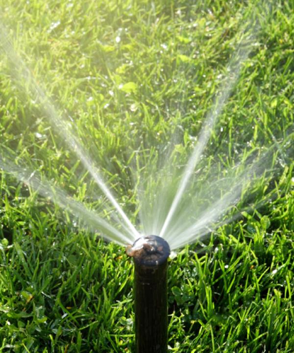 Palmer Lawn Care East Valley Phx Sprinklers and Drips