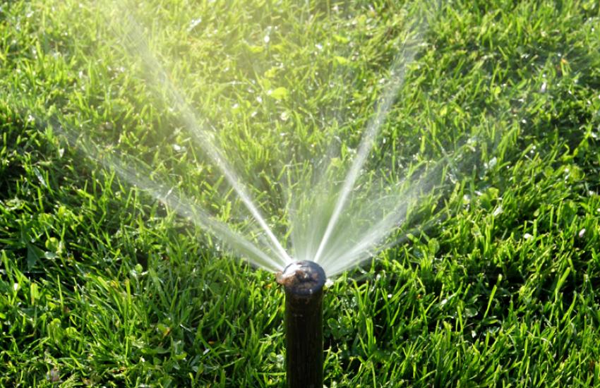 Palmer Lawn Care East Valley Phx Sprinklers and Drips