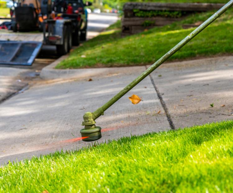 Palmer Lawn Care AZ Mowing Edging Gravel