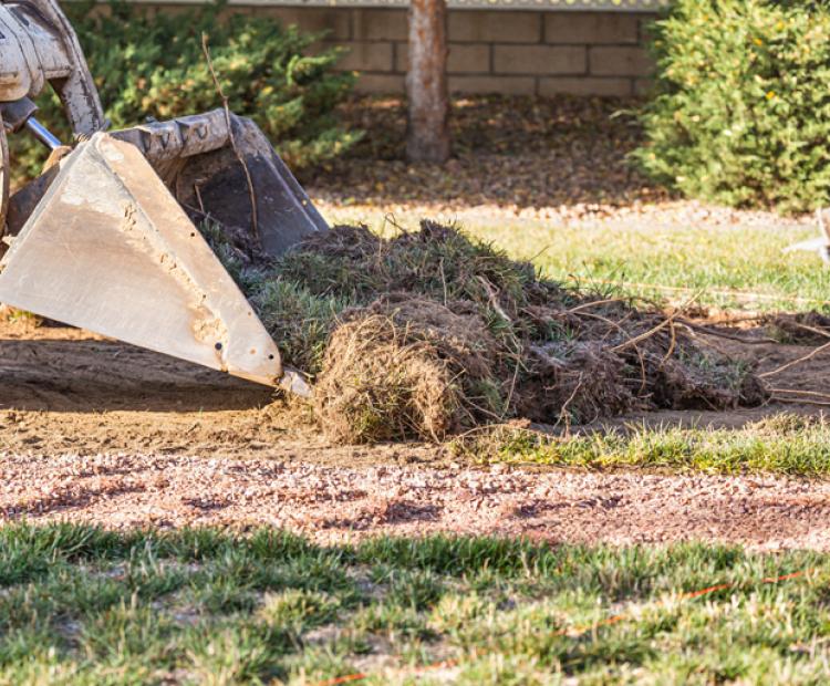 Palmer Lawn Care East Valley Phx Cleanup Haul-away