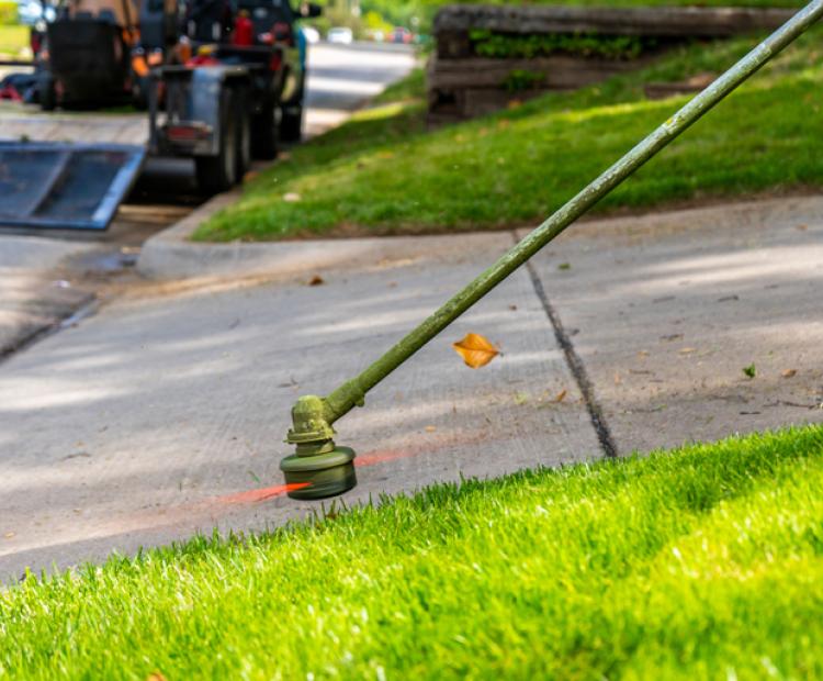 Palmer Lawn Care East Valley Phx Mowing Edging