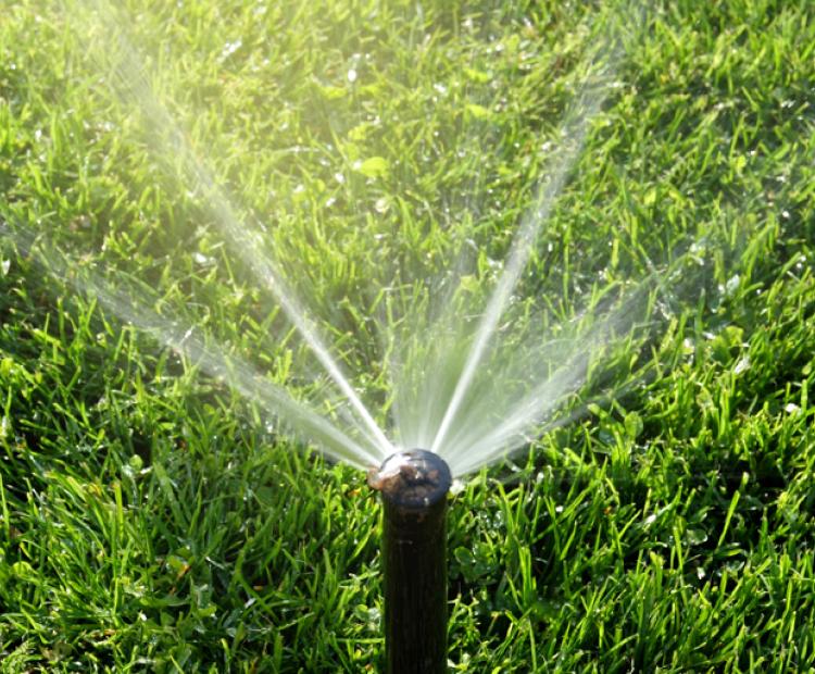 Palmer Lawn Care East Valley Phx Sprinklers and Drips